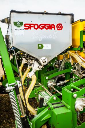 Sfoggia Sigma 5.