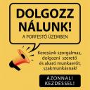 Állás lehetőséget kínálunk